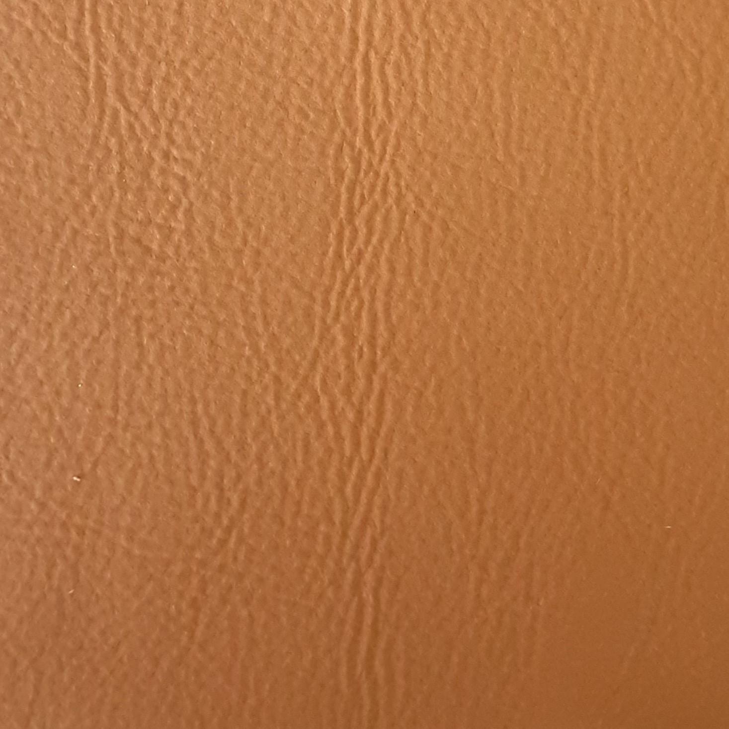 CAATINGA CAMEL - 3219