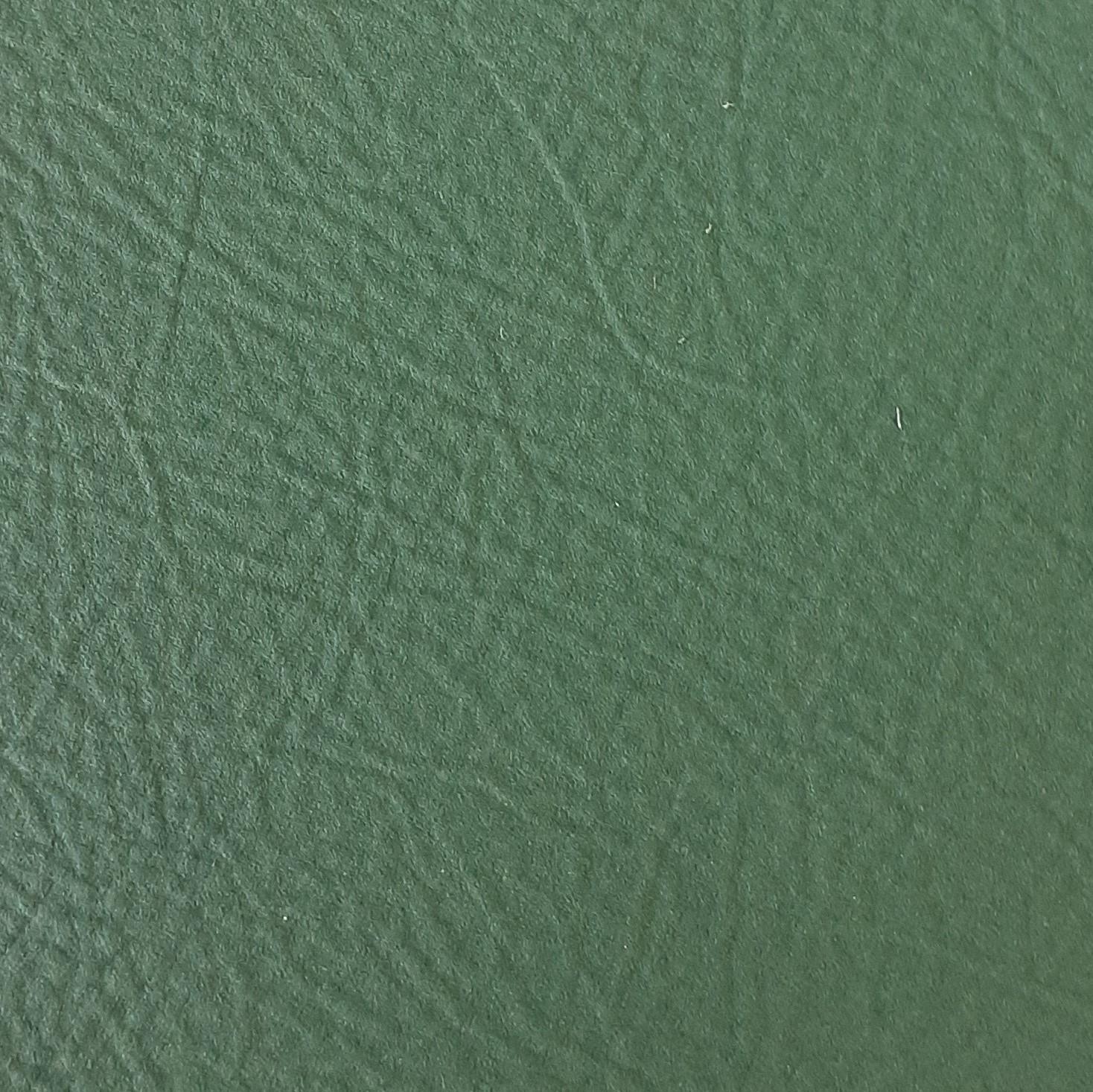 CAATINGA VERDE FOLHA - 3222